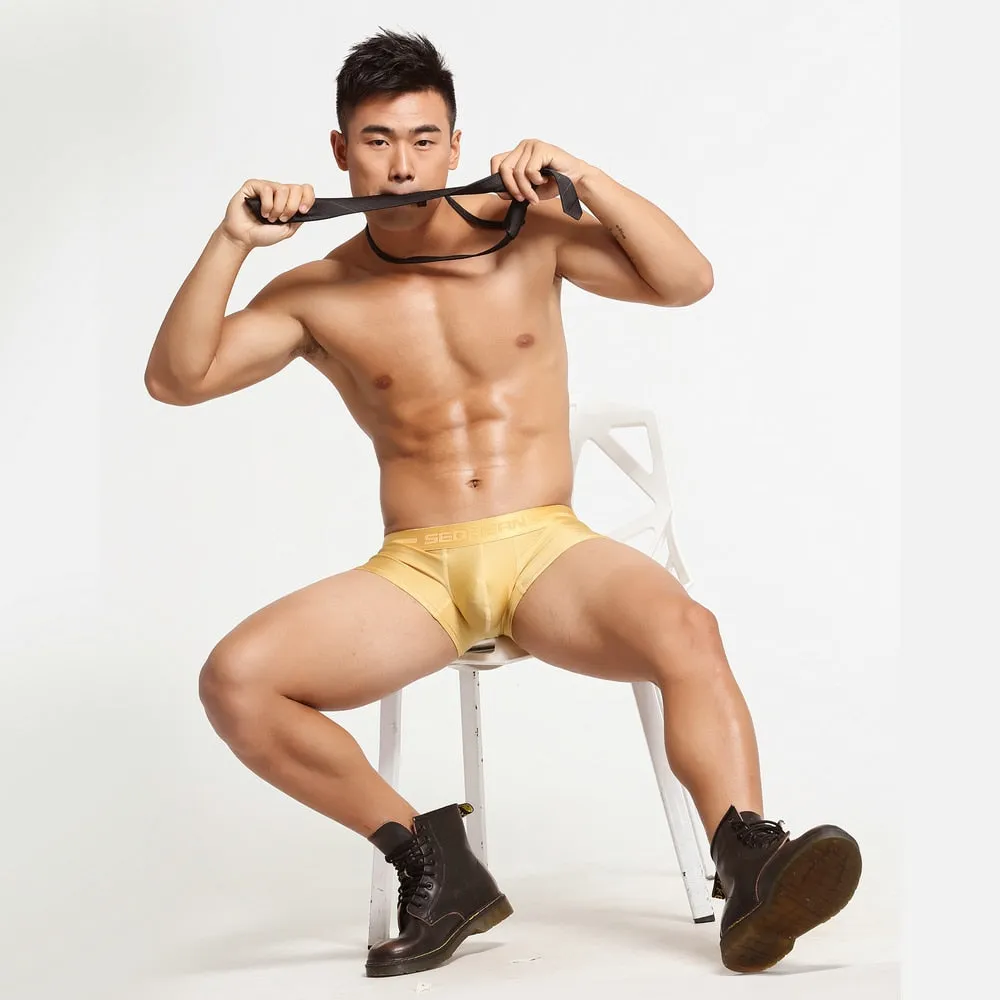 SB Metallic Boxers