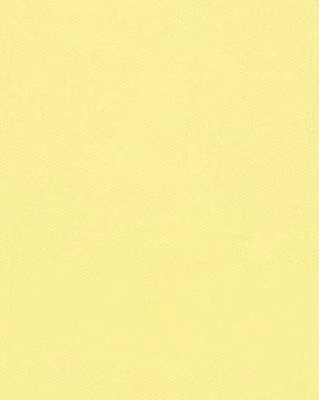 Soft Silks Days of the Week Panties | Hump Day in Lemon Zest
